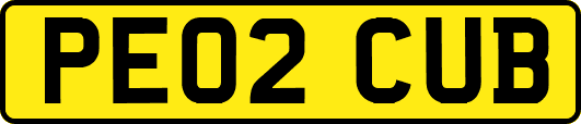 PE02CUB