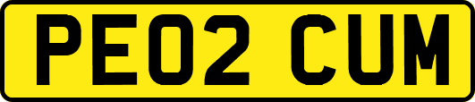 PE02CUM