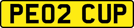 PE02CUP