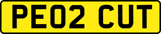 PE02CUT