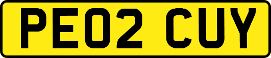 PE02CUY