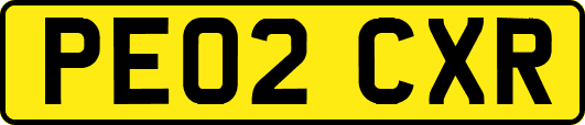 PE02CXR