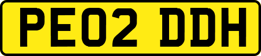 PE02DDH