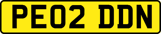 PE02DDN