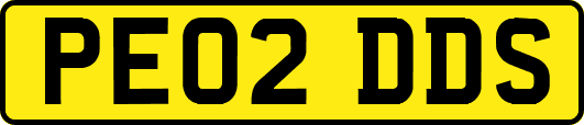 PE02DDS