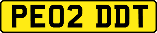 PE02DDT