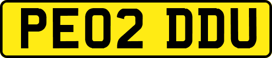 PE02DDU