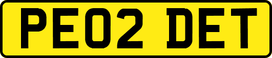 PE02DET