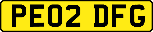 PE02DFG