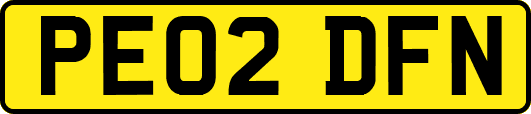 PE02DFN
