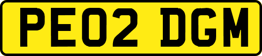 PE02DGM