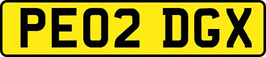 PE02DGX