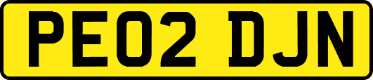PE02DJN