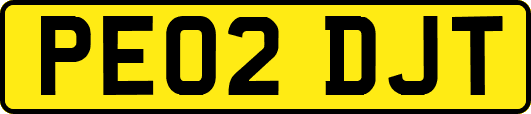 PE02DJT