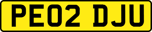 PE02DJU