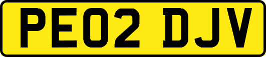 PE02DJV