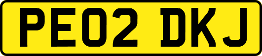 PE02DKJ