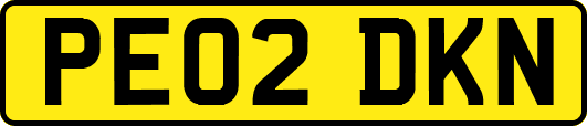 PE02DKN