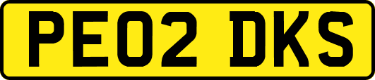 PE02DKS