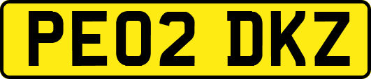 PE02DKZ