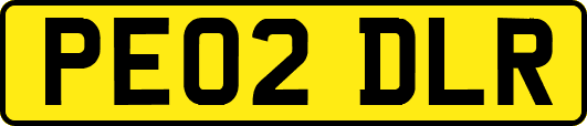 PE02DLR