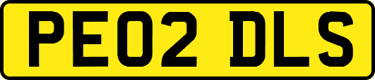 PE02DLS