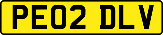 PE02DLV
