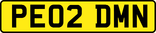 PE02DMN