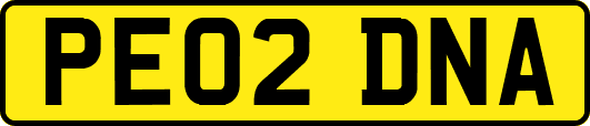 PE02DNA