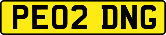 PE02DNG