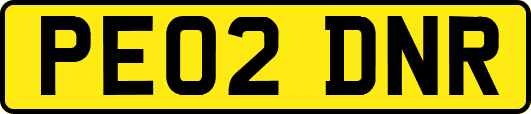 PE02DNR