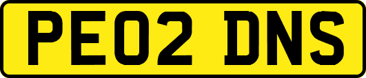 PE02DNS