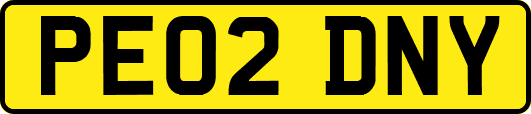 PE02DNY
