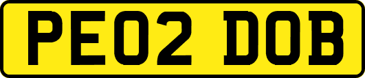PE02DOB