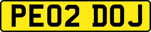 PE02DOJ