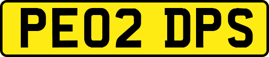 PE02DPS