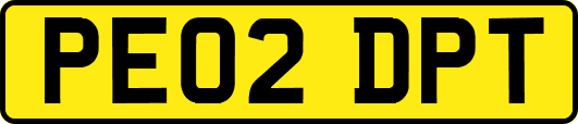 PE02DPT