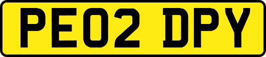 PE02DPY