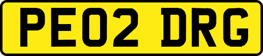 PE02DRG