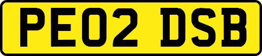 PE02DSB