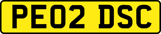 PE02DSC