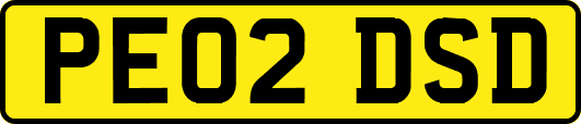 PE02DSD