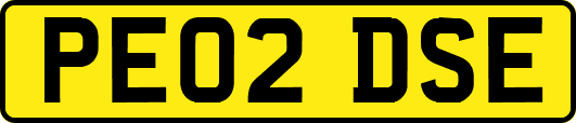 PE02DSE