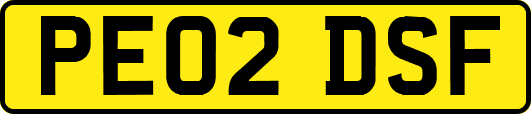 PE02DSF