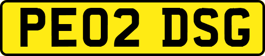 PE02DSG