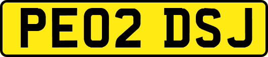 PE02DSJ