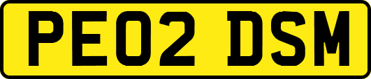 PE02DSM