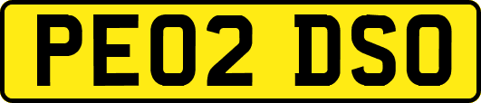 PE02DSO
