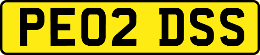 PE02DSS