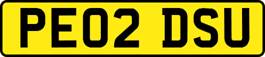 PE02DSU